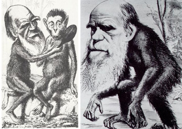 Ученые о “Теории” Дарвина