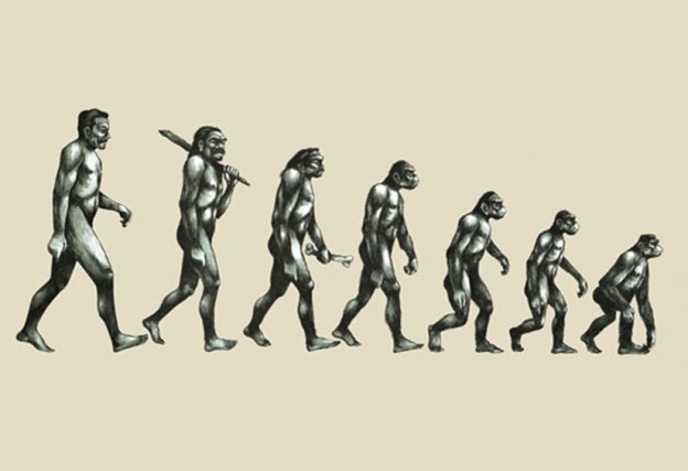 Основные аргументы против теории эволюции Дарвина и Новой Синтетической теории Эволюции (СТЭ).